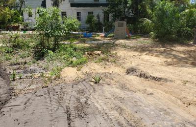 Land clearing photo