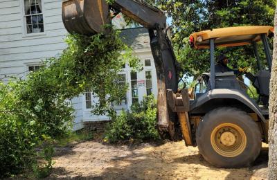 Land clearing photo