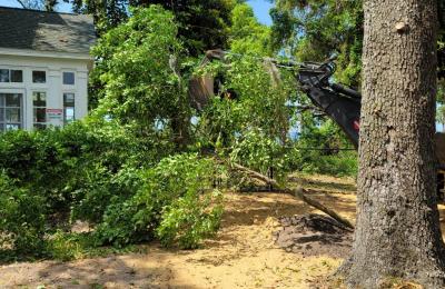 Land clearing photo