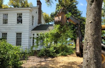 Land clearing photo