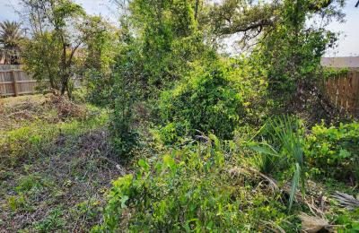 Land clearing photo