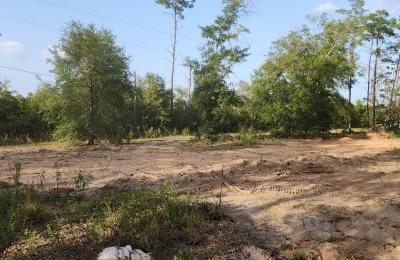 Land clearing photo