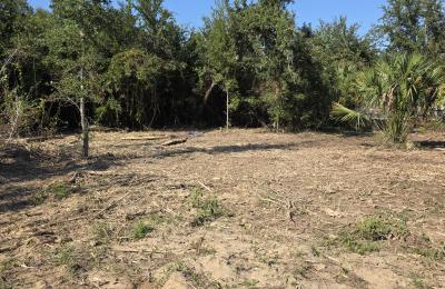 Land clearing photo