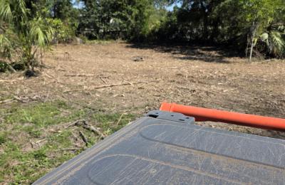 Land clearing photo