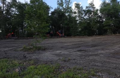 Land clearing photo