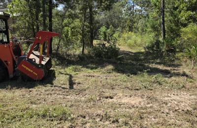 Land clearing photo
