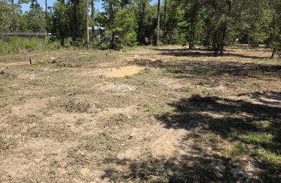 Land clearing photo