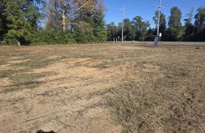 Land clearing photo
