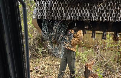 Land clearing photo