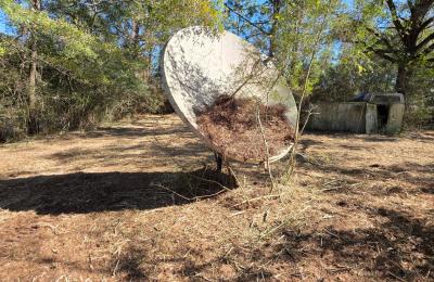 Land clearing photo