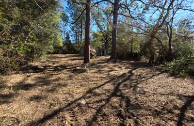 Land clearing photo