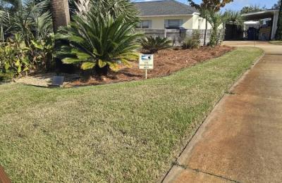 Landscaping photo