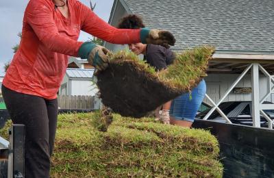 Landscaping photo