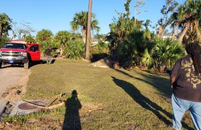 Landscaping photo