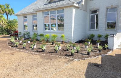Landscaping photo