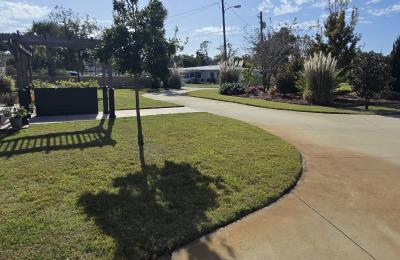 Landscaping photo