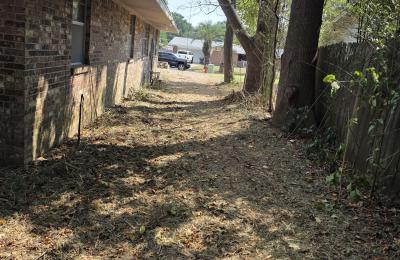 Tree service photo