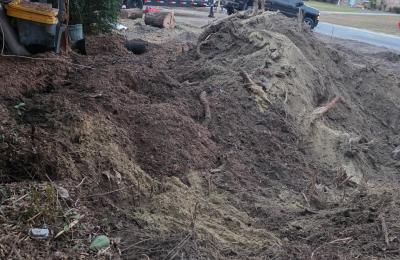Tree service photo